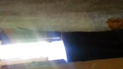 ఒక నల్ల మహిళ